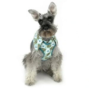 Vibrant Life Hawaiian Shirt Dog Harness, Medium